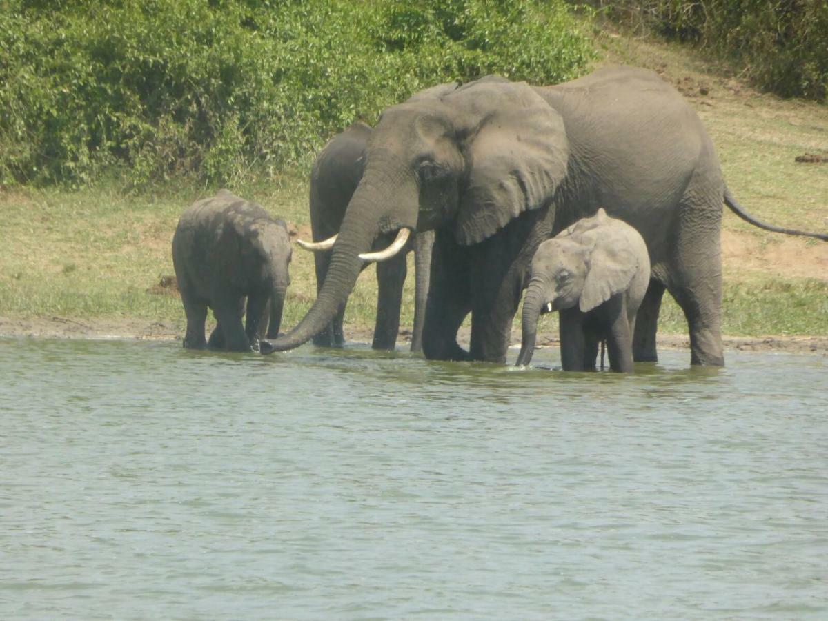 Irungu Forest Safari Lodge Katunguru 외부 사진