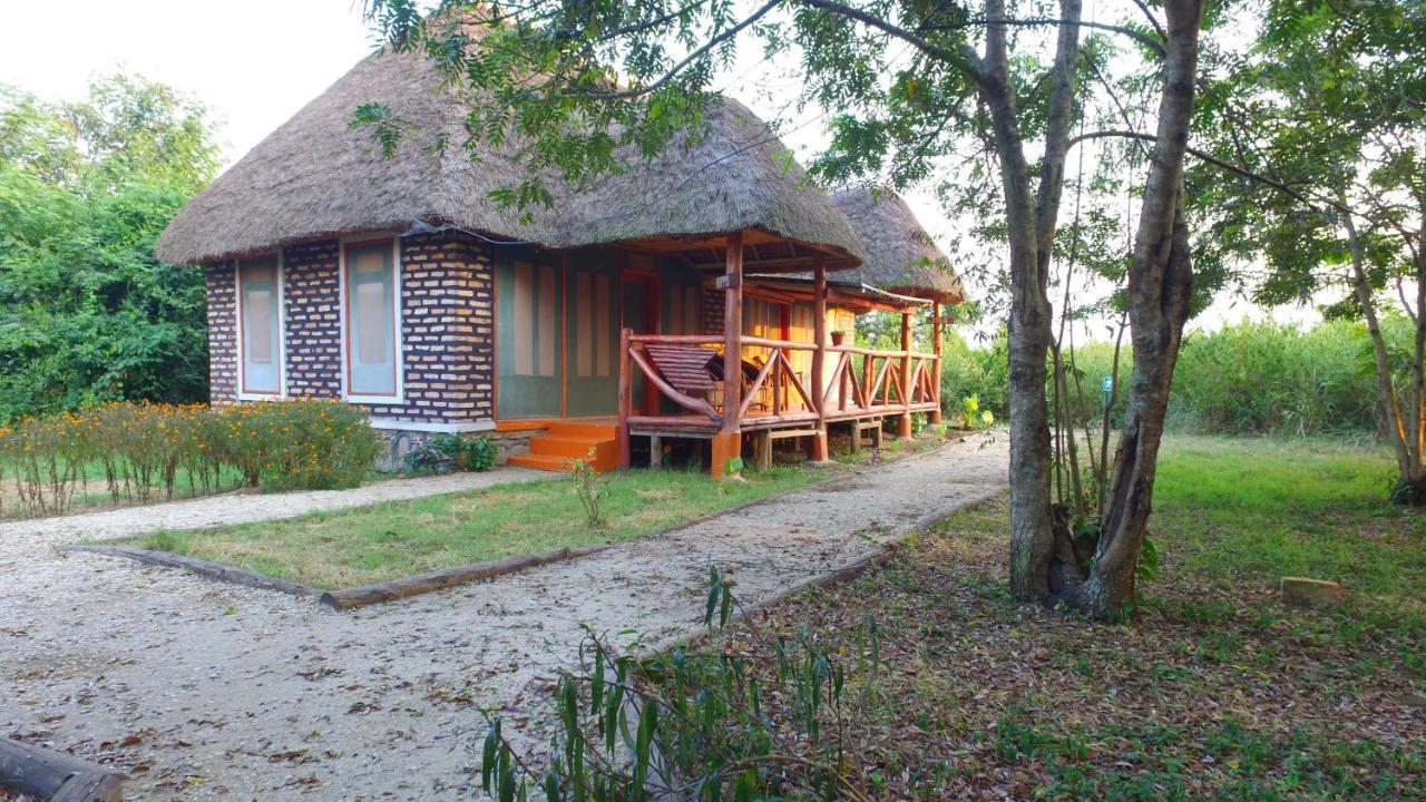Irungu Forest Safari Lodge Katunguru 외부 사진
